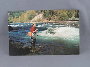 Vintage Postcard - Fly Fishing Beautiful British Columbia - Scenes by Dorse - Picture 1 of 4