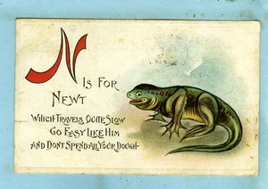 Embossed, "N is for NEWT, Which Travels Quite Slowly....." - Picture 1 of 2