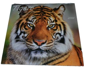 Calendario de pared 2009 TIGRES por PLATO ¡SELLADO! TEO ALLOFS, KIM SULLIVAN y otros - Imagen 1 de 2