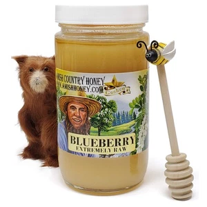 Goshen Amish Country Honey Extremely Raw BLUEBERRY Blossom Honey 100% Natural... - Picture 1 of 4