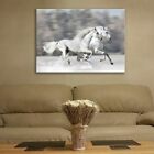 Glass Picture Toughened Wall Art Unique Home Decor White Horses on Grey Any Size