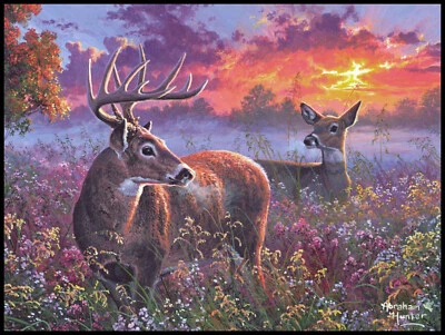 Greeting Card - Deer - Abraham Hunter - Birthday - 0209 - Image 1 of 2