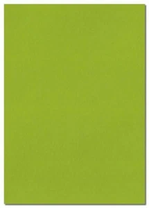 Fresh Green 297 mm x 210 mm 100 g/m² A4 Blatt farbiges Papier - Bild 1 von 1