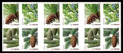 USA 2010 Evergreen Forever Error Pane (Scott 4481d) – Die-Cut Omitted MNH - Image 1 of 3