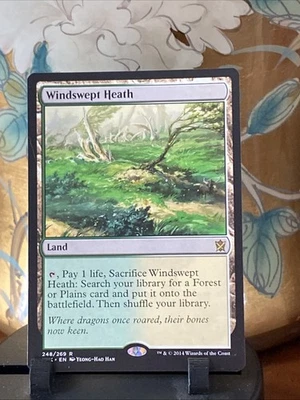 MTG Windswept 248 Heath Khans of Tarkir Regular NM ESTATE COLLECTION - Image 1 of 2
