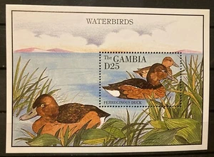 Gambia, birds, duck S.C.#1618,S.C.V.$7.5 MNH , 1 S/S, Issued in 1995 - Picture 1 of 1