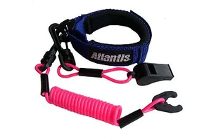 POLARIS SL SLT SLTX VIRAGE OCTANE GENESIS MSX ALL MODELS NEW LANYARD & WHISTLE - Bild 1 von 1