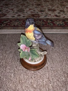 Parula Warbler von Andrea 8627 Japan mit Ständerschaden - Bild 1 von 3