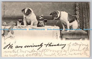 R752590 Hunde genießen Mahlzeit Tuck Write Away Nr. 1661 PM Manchester 1902 - Bild 1 von 4