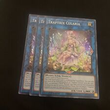 3x Traptrix Cularia 1st Edition Super Rare MP22-EN087 Yu-Gi-Oh!