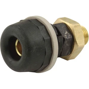 Allstar Performance ALL76311 Black Quick Disconnect Female End - Picture 1 of 3