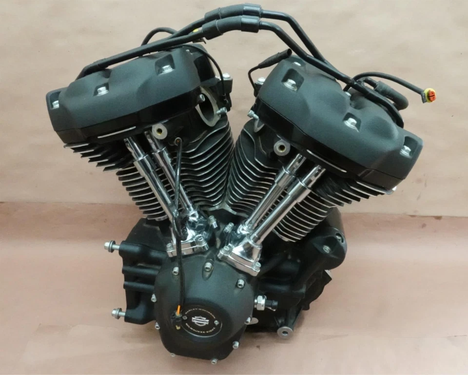 Harley-Davidson Heritage Classic FLHCS 2018-2022 motor completo Foto 1 de 4