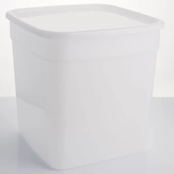 10 Litre Rectangular Ice Cream tub/Food storage container with lid 247x247x250mm - Image 1 of 1