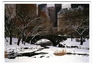 Postkarte New York City NY Central Park - Bild 1 von 2