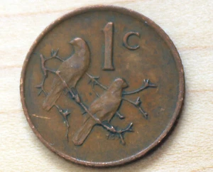 1970 South Africa 1 Cent Cape Sparrows - Picture 1 of 6