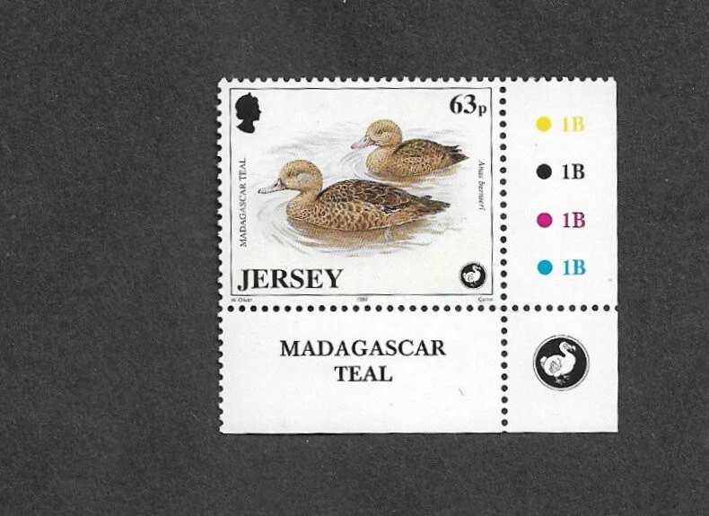 BIRDS DUCKS  MADAGASCAR TEAL NATURE MNH JERSEY NATURE - Image 1 of 1