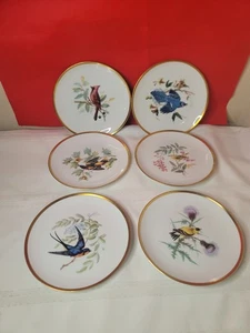 Set of 6 Vtg Hutschenreuther Audubon Bird 8” Plates Gold Rimmed Bavaria PASCO - Bild 1 von 9
