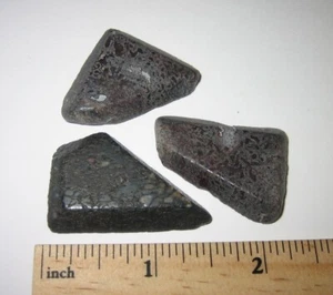 3 TUMBLED NATÜRLICHE 1,3 ZOLL - 1,4 ZOLL DINOSAURIERKNOCHEN FOSSILE STEINE BUNT USA ~ 32,9 g * 1 - Bild 1 von 8