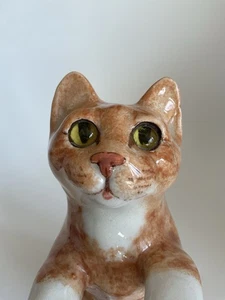 Playful Winstanley Tabby Cat Size 4 - Picture 1 of 12