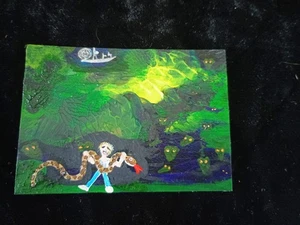 painting FLORIDA MAN HUNT PYTHONS airboat ALLIGATOR Art TRADING CARD ACEO SNAKE - Picture 1 of 22