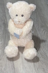 Baby Gund Nighty Night Teddy Bear Wind Up Musical Lullaby Go To Sleep Toy NWT - Picture 1 of 9