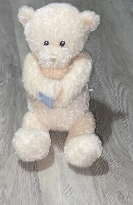 Baby Gund Nighty ночь плюшевый медведь заводной музыкальная колыбельная идти спать игрушка новый с Ярлыками - Изображение 1 из 4