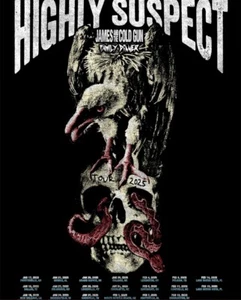 Poster Highly Suspect Tour 2025 Poster, gift for fans - Picture 1 of 8