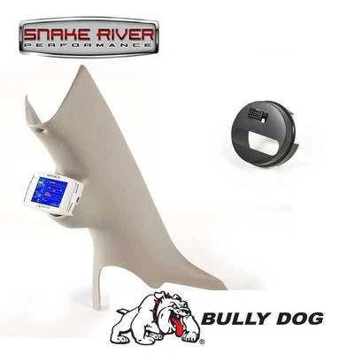 MONTAJE PILAR BULLY PERRO CON ADAPTADOR PARA DODGE RAM 1500 2500 3500 32303 2003-2009 Foto 1 de 4