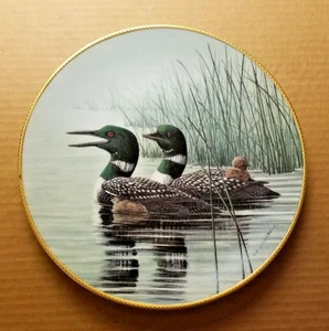KEEPING THEM SAFE Plate The Loon: Voice of the North Don Li-Leger Loons - Picture 1 of 9