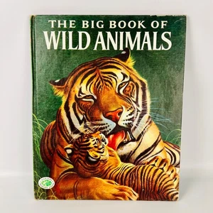 Vintage The Big book of Wild Animals by Felix Sutton 1954 - Picture 1 of 11