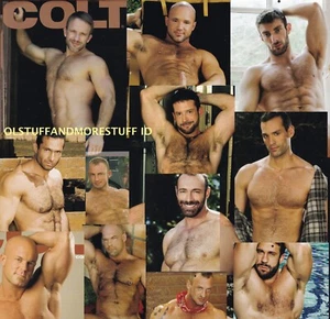 COLT HAIRY CHESTED 2020 CALENDAR ZAK SPEARS AARON CAGE BRAD KALVO SCOTT CARTER - Picture 1 of 1