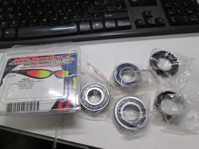 КОМПЛЕКТ ПОДШИПНИКОВ/УПЛОТНЕНИЙ ЗАДНЕГО КОЛЕСА ALLBALLS F3 CBR900RR SHADOW 750 - Изображение 1 из 2