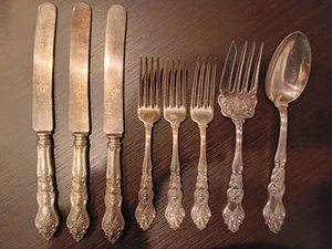 Antique MOSELLE Grapes American Silver Co International 8 Pieces - Picture 1 of 9