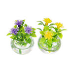  2 Pcs Artificial Pot Plant Decor Mini Green Pretend Play Toys Bonsai