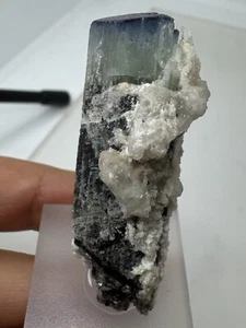 BLUE CAP TOURMALINE CRYSTAL (24.6gr) Dravite / TURMALIN Kristall Tanzania - Picture 1 of 8