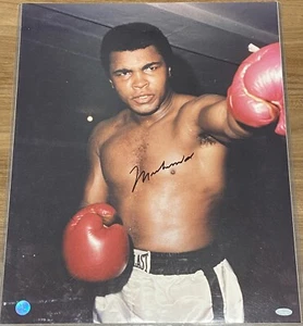 MUHAMMAD ALI signed autographed 16x20 photo Steiner - Picture 1 of 4