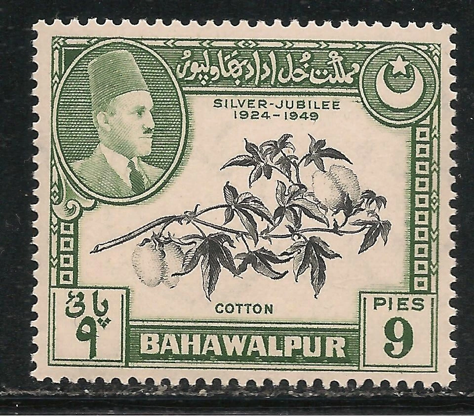 Paquistão Bahawalpur #24 (A12) Muito bom estado perfeito LH - 1949 9p Algodão e Amir Khan V - Imagem 1 de 1