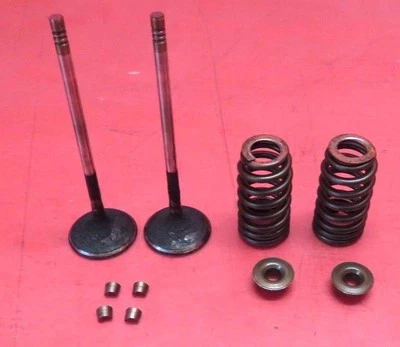 2007-2010 BMW 335i COUPE E92 OEM N54 ENGINE INTAKE INLET VALVE SET W/ SPRINGS #3 - Image 1 of 4