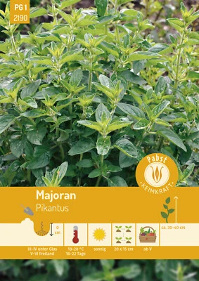 Majoran Pikantus Samen von Pabst Keimkraft - Bild 1 von 2