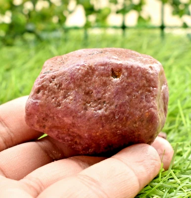 AAA Quality Natural CERTIFIED Mozambique Ruby Rough Loose Gemstone rough 980 CT - Image 1 of 4