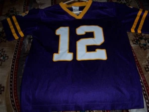 MINNESOTA VIKINGS HARVIN JERSEY YOUTH L 12 14 - Picture 1 of 3
