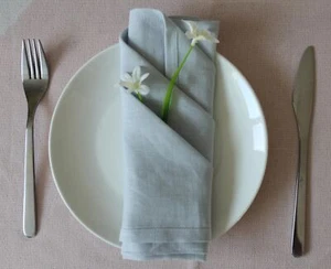 Pure Linen Napkins 18 X 18 Inch Blue - Set of 4 100% Flax Fabric Stonewashed ... - Picture 1 of 5