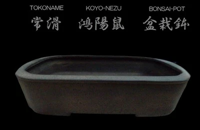 Japanese Bonsai pot TOKONAME NEZU Unglazed Rectangular Large size W38cm KOYO - Image 1 of 4
