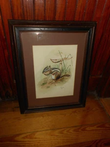 Watercolor Painting CHIPMUNK & MUSHROOM Signed D. CULLER 1974 Wood Glass Framed - Picture 1 of 12