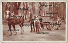 Cranwell Lincolnshire Sleaford Horse Cart Named Banks Real Photo Postcard Rp