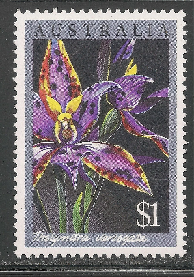 Australia #1000 (A370) MNH - 1986 $1 Thelymitra Variegata Orchid  - Image 1 of 1