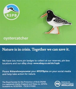 RSPB Pin Badge Oystercatcher NIIC P03084 - Picture 1 of 1