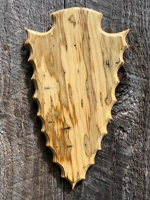 Spalted/Wormy Pine European Deer Skull Mount Plaque Pedestal Arrowhead w/hanger - Image 1 of 4