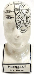 New 8" Phrenology Head Statue Porcelain L. N. Fowler LARGE REPLICA - Picture 1 of 5