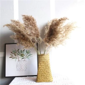 Plants Flower Bunch Holiday Pampas Grass Phragmites Home Decor Dried Flower - Picture 1 of 11